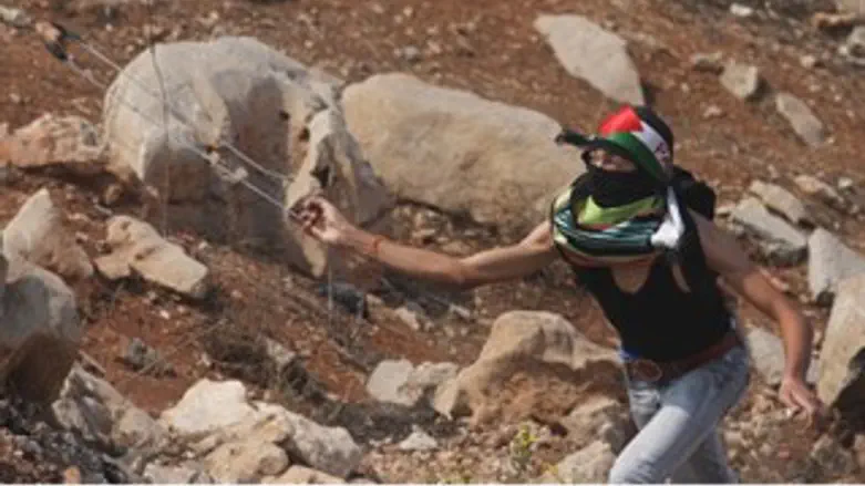 הפלסטינים מתפרעים