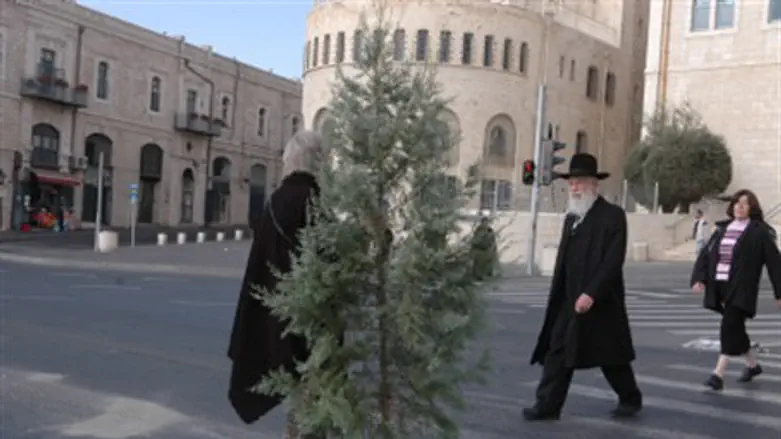 Christmas tree in Jerusalem