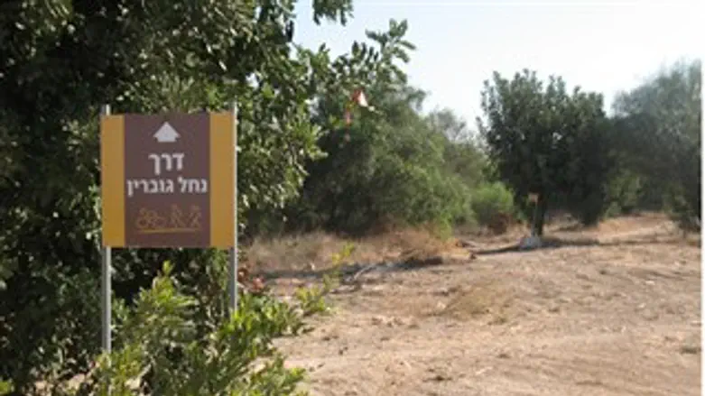 אתר תיירות. שנת שיא