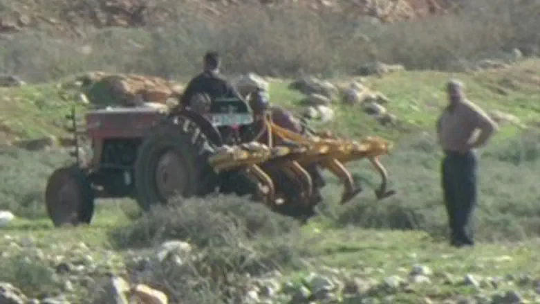 החקלאים הערבים חורשים בקרקע ליד צ.תפוח