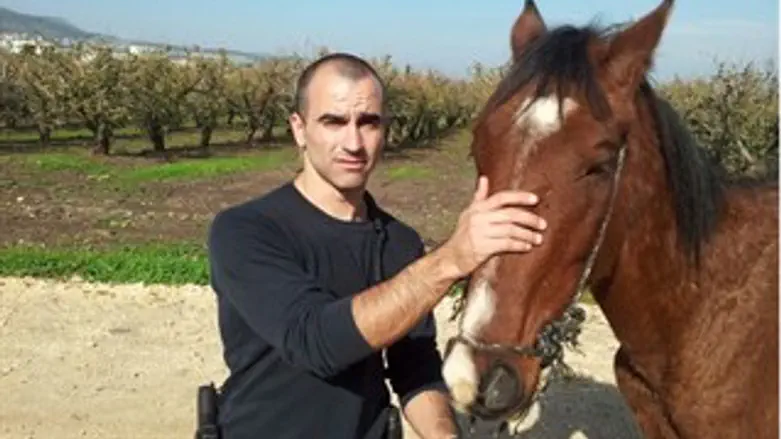 לוחם היס"מ והסוס הפגוע