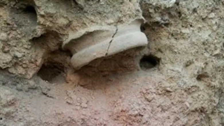 הממצא המרגש