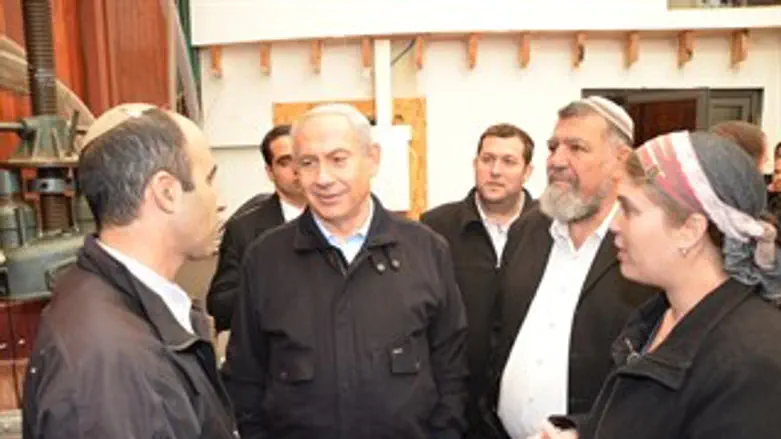 ראש הממשלה ברחלים