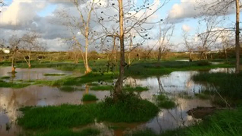 ממראות מזג האוויר הסוער