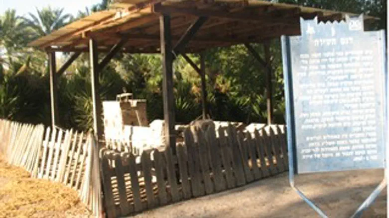 טירת צבי -דגם הטירה