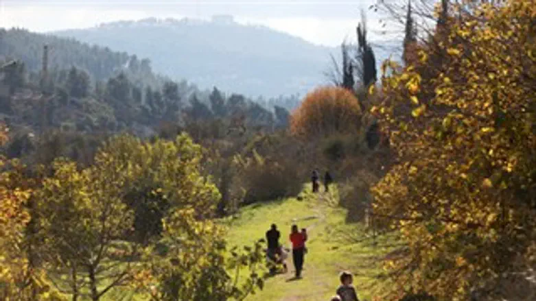 אלפי מטיילים