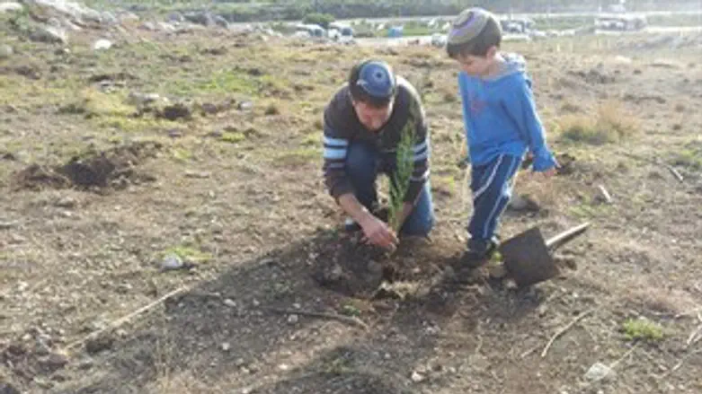 נטיעות ט"ו בשבט ביער קק"ל, מודיעין