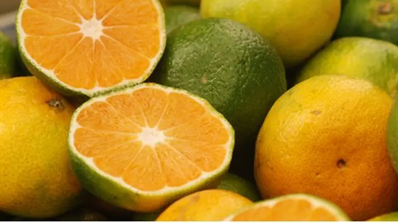 Israeli oranges