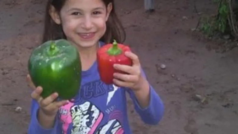 שוברים שיאים בעין יהב