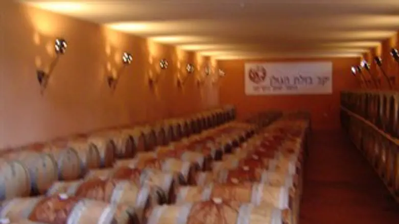 תיירות בישראל