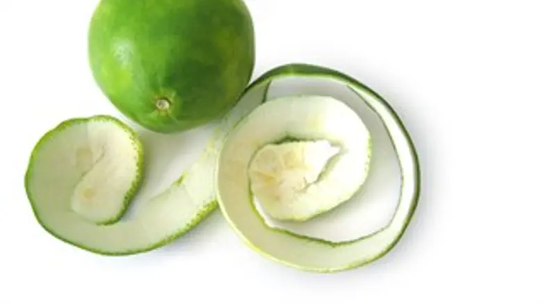 פירות האילן