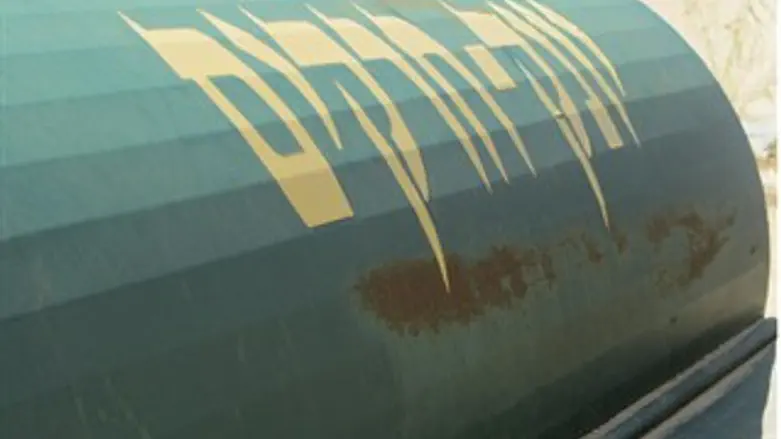 היונק שמכשיר ומנקה