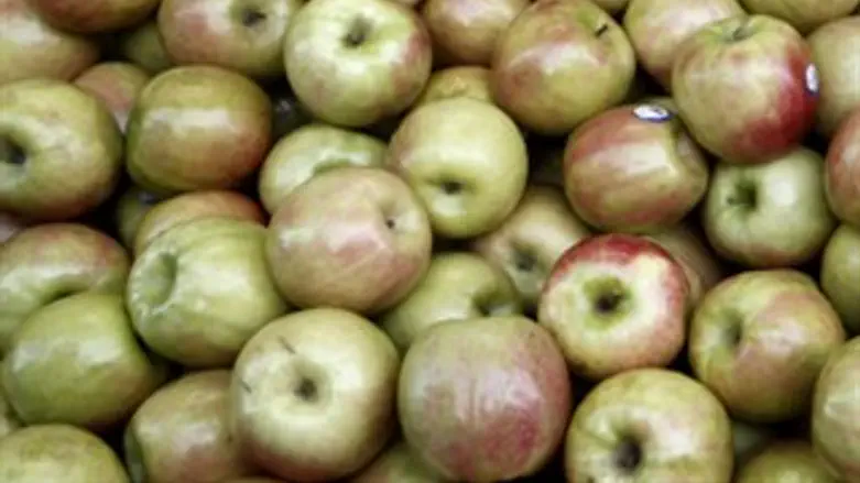 נשארים בארץ. תפוחי עץ