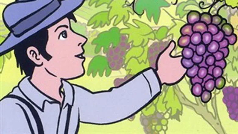 שירת הענבים