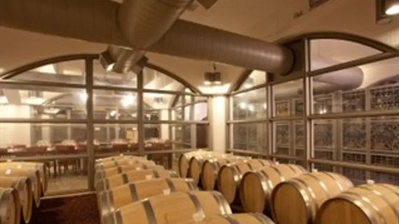 חביות יין ביקבי רמת הגולן