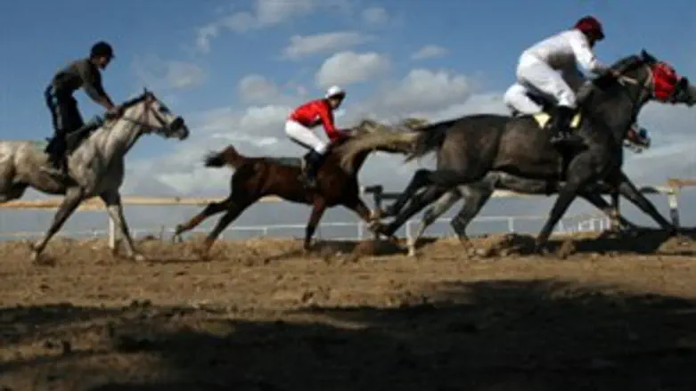 הריאליטי של המלך