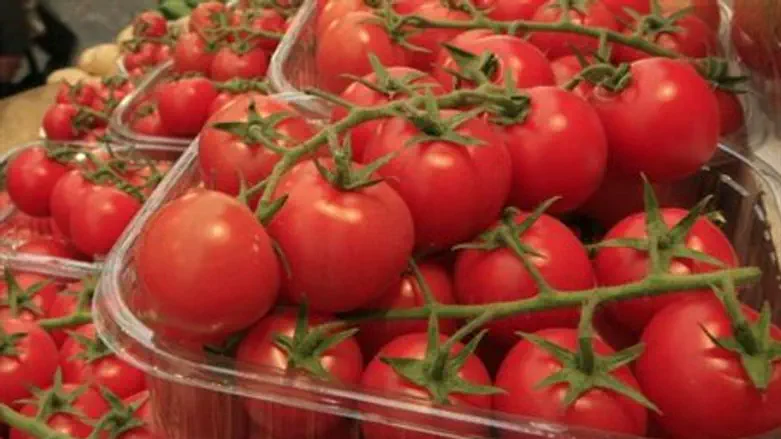 Помидоры. Иллюстрация