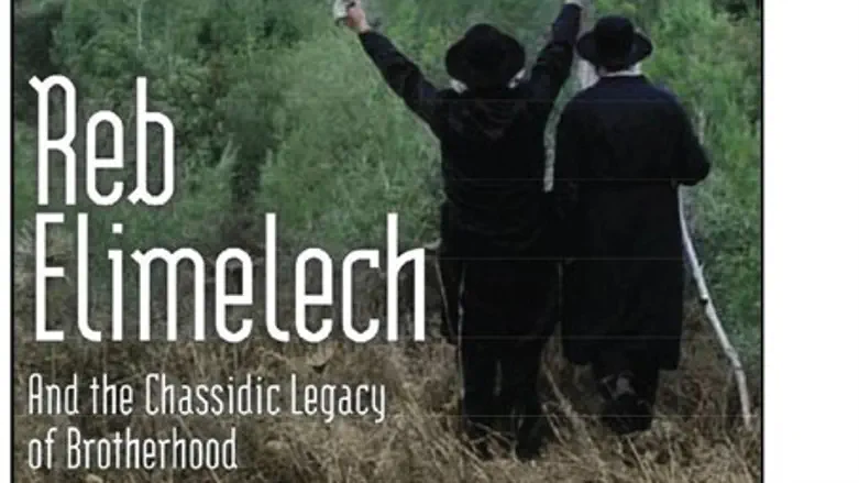 Vizhnitz Hassidim (file)