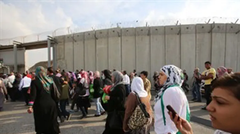 תנועה חופשית?