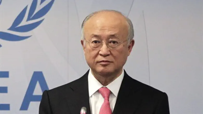 International Atomic Energy Agency Director G