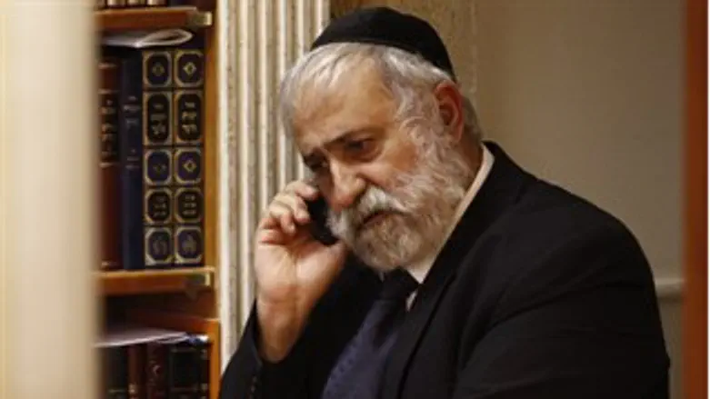 כועס ותוקף. זאב