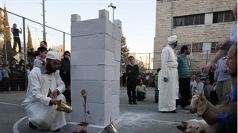 הכהנים מתרגלים