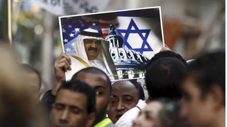 Egyptian protester holds anti-Israel sign 