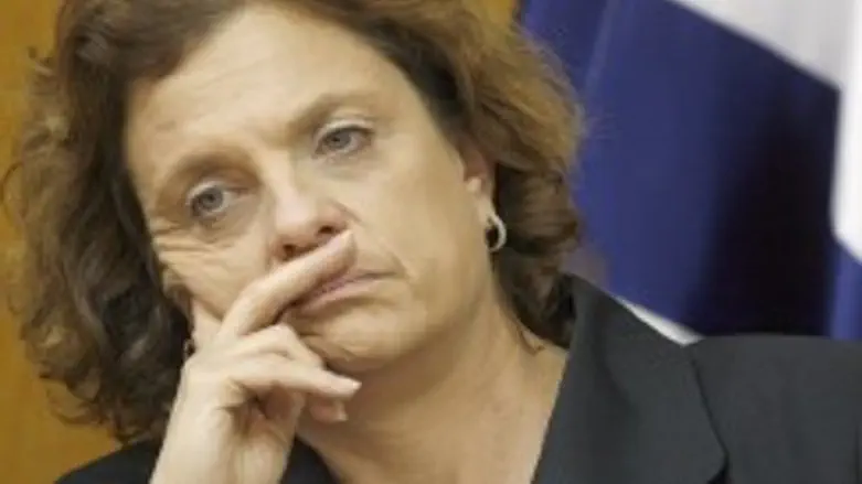 לתקן ההפליה. תמיר