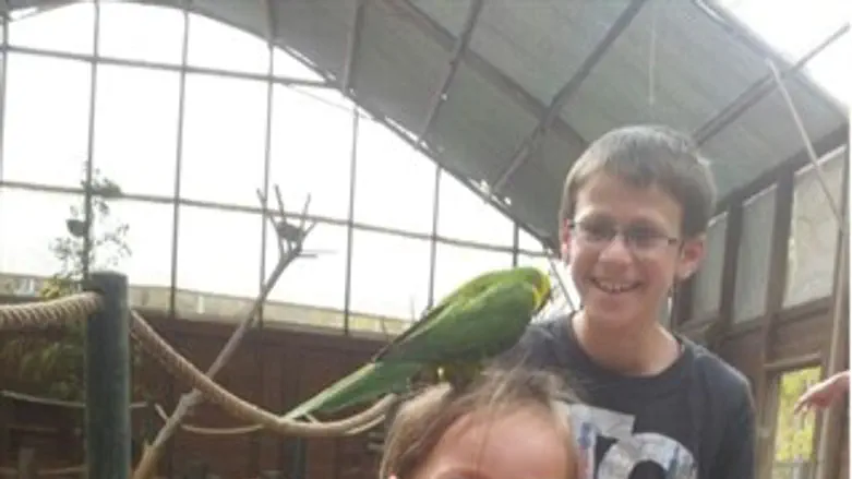 צפריה בגן גורו