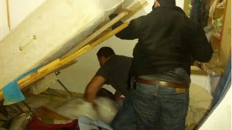 הפשיטה לפנות בוקר