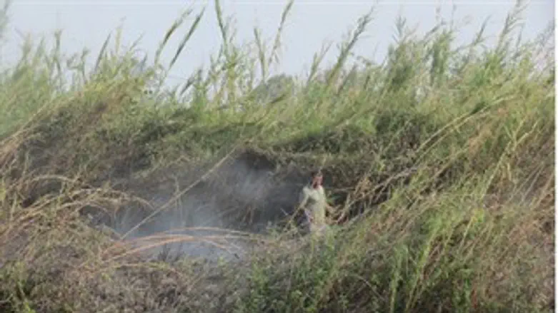 השריפה בברכית הנופרים
