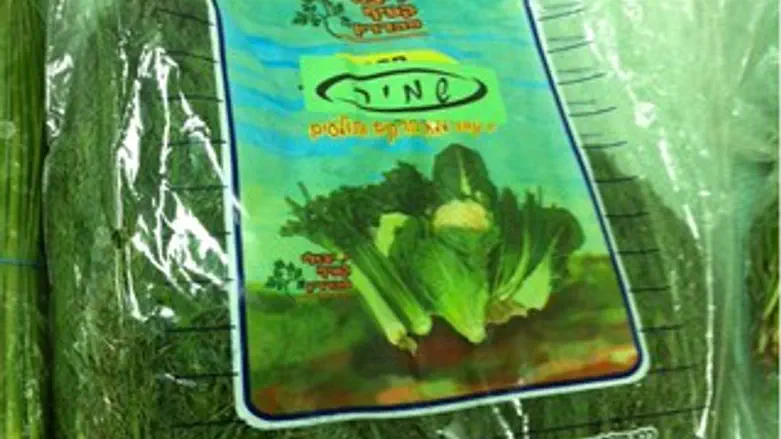 האריזה הישנה