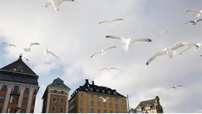 Stockholm, capital of Sweden