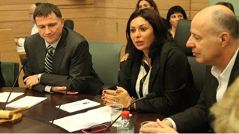 רגב בישיבת הועדה היום