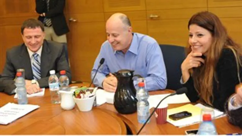 ישיבת הועדה לזכויות הילד