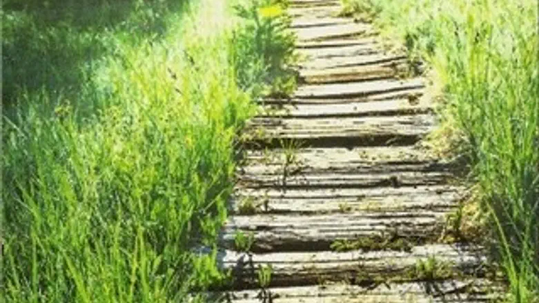 שיעור מולדת