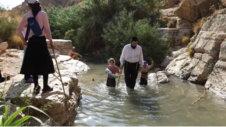 Wadi Kelt (illustrative)