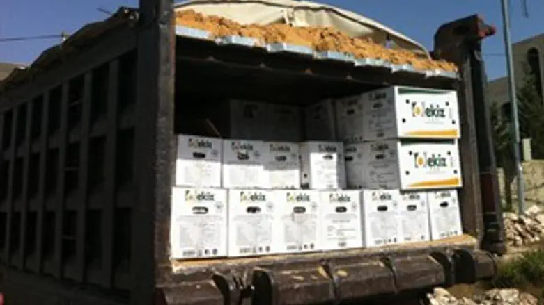 המשאית שנתפסה