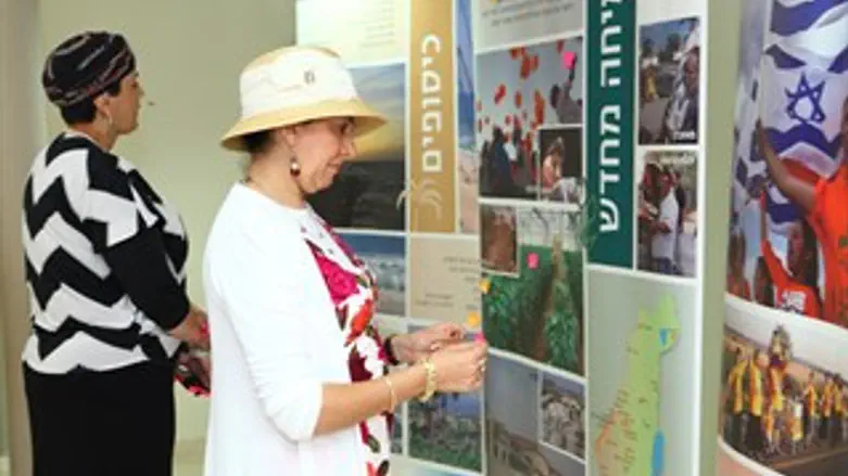 המורים במרכז קטיף