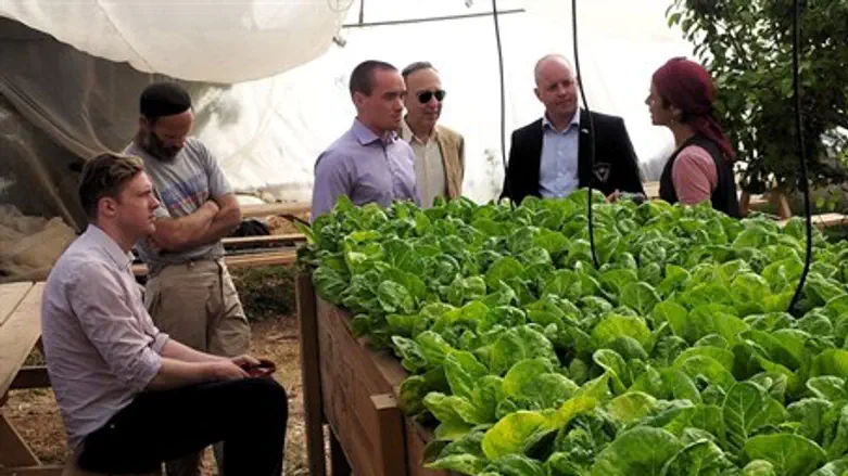 Diplomatic visit to Itamar