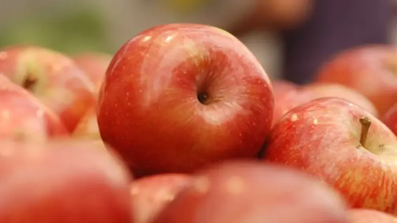 משדרגים את הציפוי