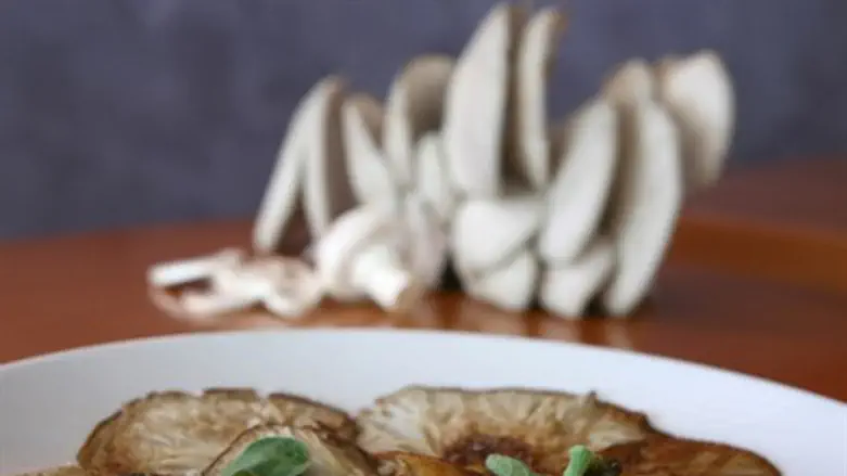 פטריות. תמיד טעימות.