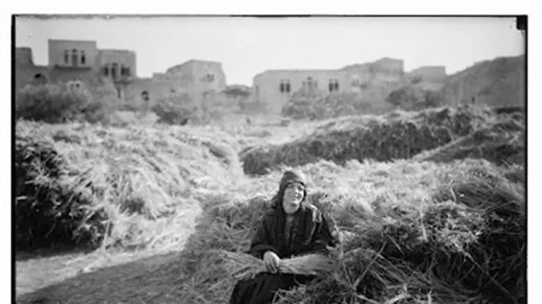 Do not entreat me to leave thee