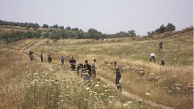 מסתערים על החווה