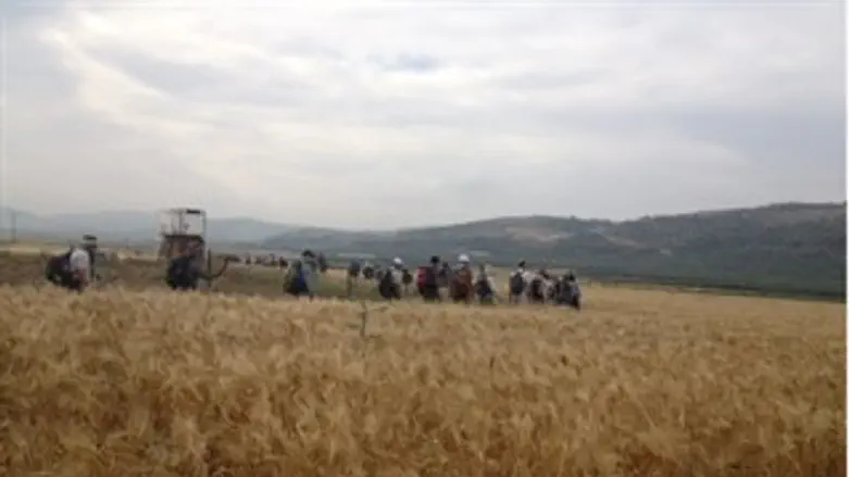 שבים אל העמק