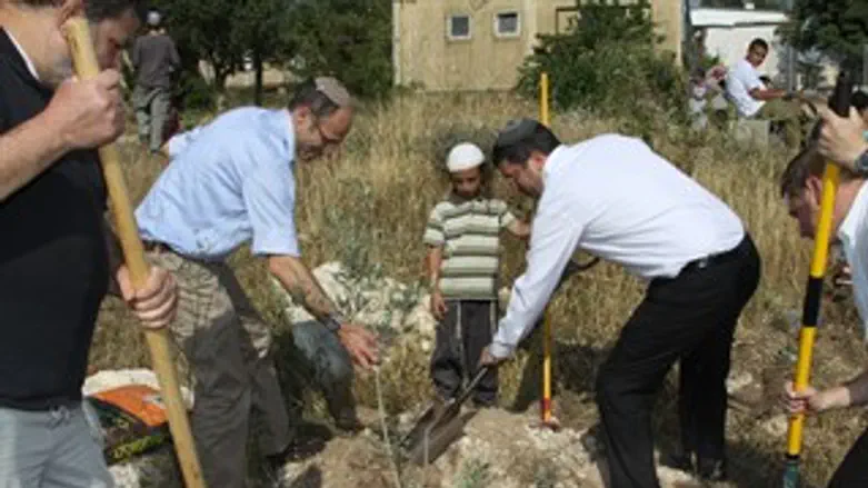 סגן השר מוריד חליפה ולוקח טוריה