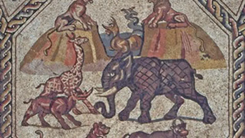 מתוך הפסיפס  