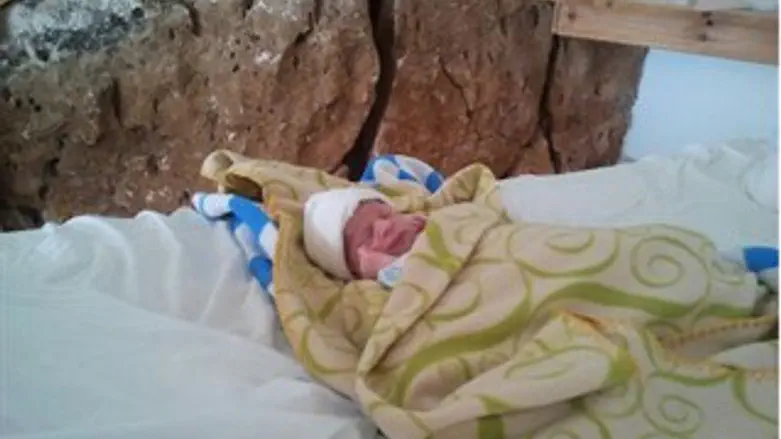 התינוק בצימר