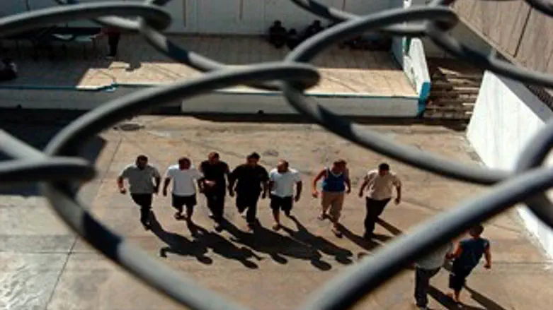 אילוסטרציה