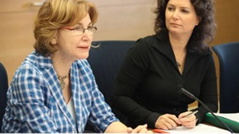 גרמן ורוזין היום בדיוני הועדה